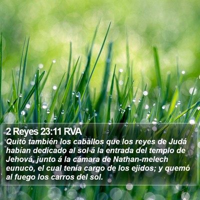 2 Reyes 23:11 RVA Bible Verse Image