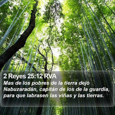 2 Reyes 25:12 RVA Bible Verse Image