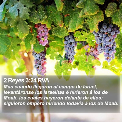 2 Reyes 3:24 RVA Bible Verse Image
