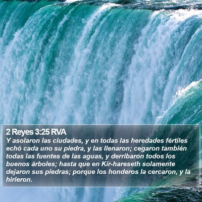 2 Reyes 3:25 RVA Bible Verse Image
