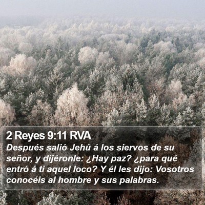 2 Reyes 9:11 RVA Bible Verse Image