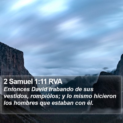 2 Samuel 1:11 RVA Bible Verse Image