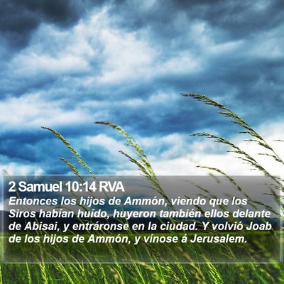 2 Samuel 10:14 RVA Bible Verse Image