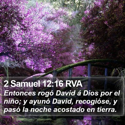 2 Samuel 12:16 RVA Bible Verse Image