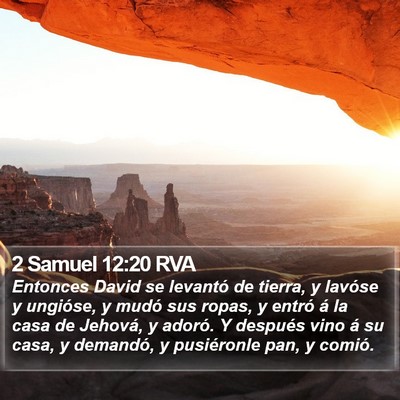 2 Samuel 12:20 RVA Bible Verse Image