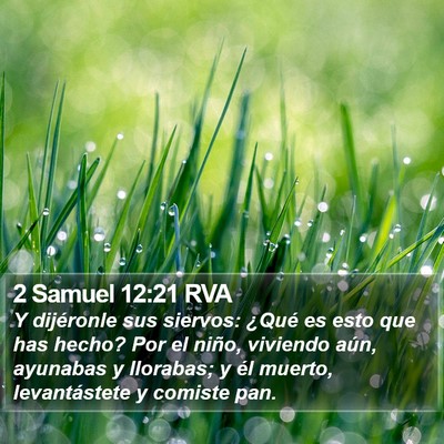 2 Samuel 12:21 RVA Bible Verse Image