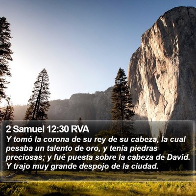 2 Samuel 12:30 RVA Bible Verse Image