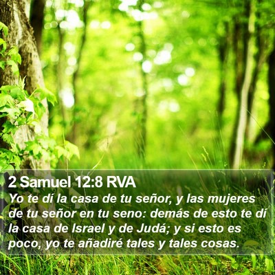 2 Samuel 12:8 RVA Bible Verse Image