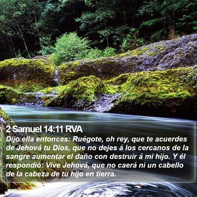 2 Samuel 14:11 RVA Bible Verse Image