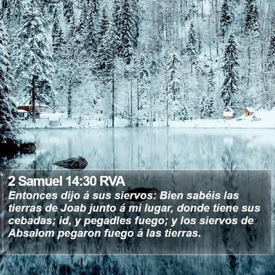 2 Samuel 14:30 RVA Bible Verse Image