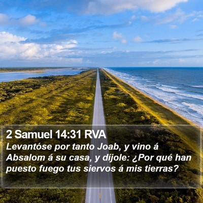2 Samuel 14:31 RVA Bible Verse Image