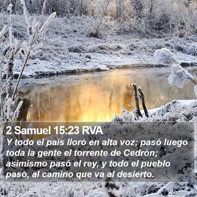 2 Samuel 15:23 RVA Bible Verse Image