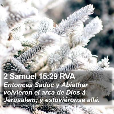 2 Samuel 15:29 RVA Bible Verse Image