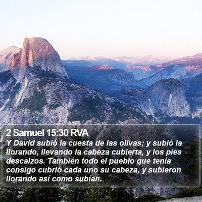 2 Samuel 15:30 RVA Bible Verse Image