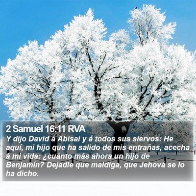 2 Samuel 16:11 RVA Bible Verse Image