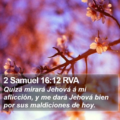 2 Samuel 16:12 RVA Bible Verse Image