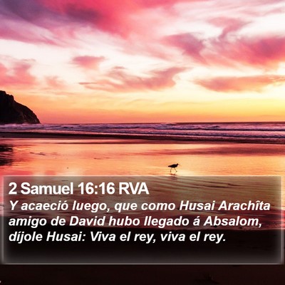 2 Samuel 16:16 RVA Bible Verse Image
