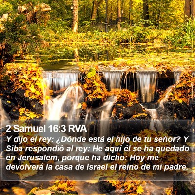 2 Samuel 16:3 RVA Bible Verse Image