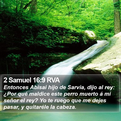 2 Samuel 16:9 RVA Bible Verse Image