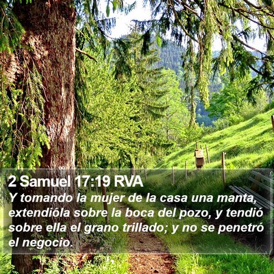 2 Samuel 17:19 RVA Bible Verse Image