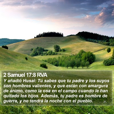 2 Samuel 17:8 RVA Bible Verse Image