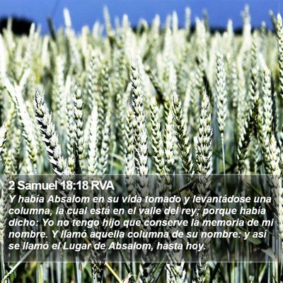 2 Samuel 18:18 RVA Bible Verse Image