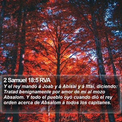 2 Samuel 18:5 RVA Bible Verse Image
