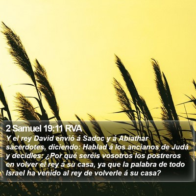 2 Samuel 19:11 RVA Bible Verse Image