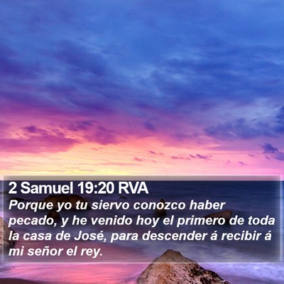 2 Samuel 19:20 RVA Bible Verse Image