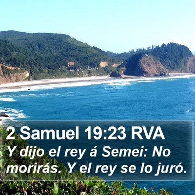 2 Samuel 19:23 RVA Bible Verse Image