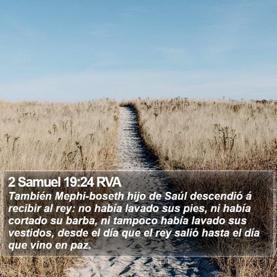 2 Samuel 19:24 RVA Bible Verse Image