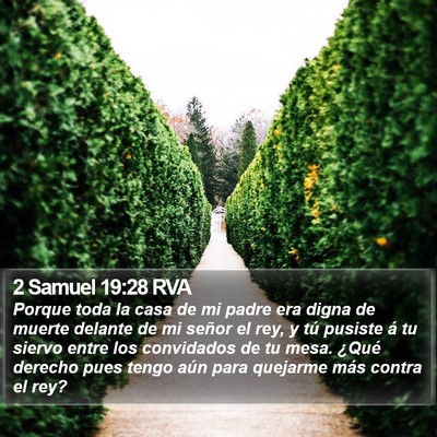 2 Samuel 19:28 RVA Bible Verse Image