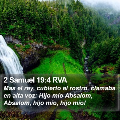 2 Samuel 19:4 RVA Bible Verse Image