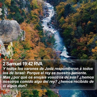 2 Samuel 19:42 RVA Bible Verse Image