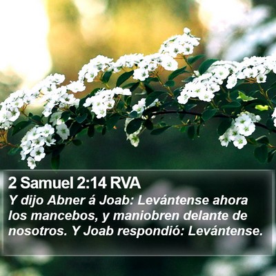 2 Samuel 2:14 RVA Bible Verse Image