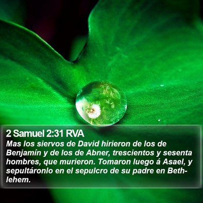 2 Samuel 2:31 RVA Bible Verse Image