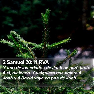 2 Samuel 20:11 RVA Bible Verse Image