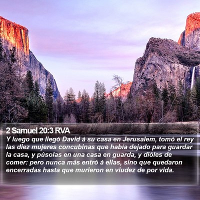2 Samuel 20:3 RVA Bible Verse Image