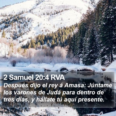 2 Samuel 20:4 RVA Bible Verse Image