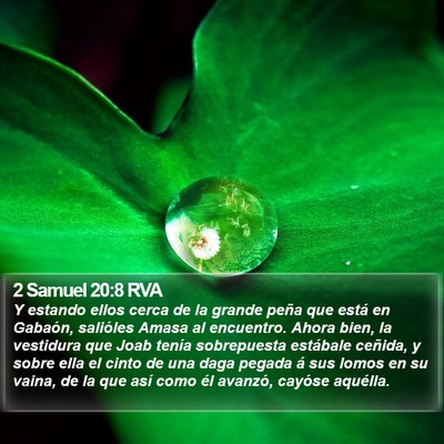 2 Samuel 20:8 RVA Bible Verse Image