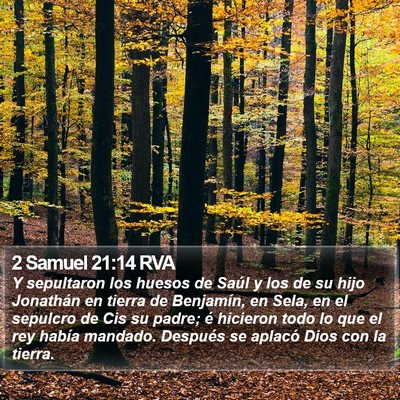 2 Samuel 21:14 RVA Bible Verse Image