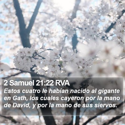 2 Samuel 21:22 RVA Bible Verse Image
