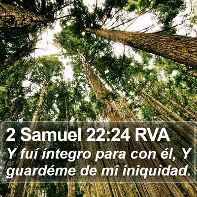 2 Samuel 22:24 RVA Bible Verse Image