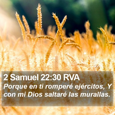2 Samuel 22:30 RVA Bible Verse Image