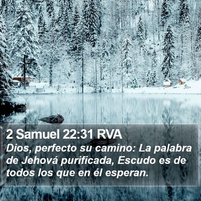 2 Samuel 22:31 RVA Bible Verse Image
