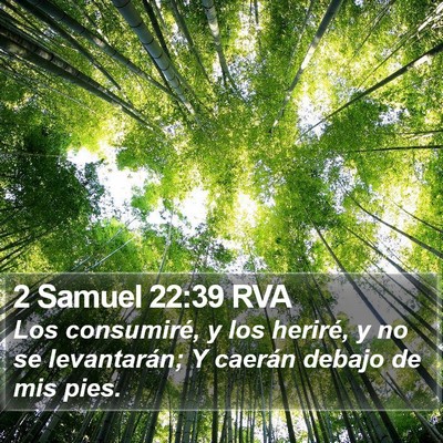 2 Samuel 22:39 RVA Bible Verse Image