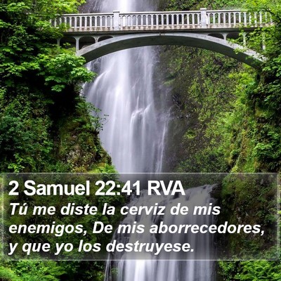 2 Samuel 22:41 RVA Bible Verse Image