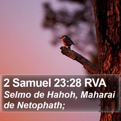 2 Samuel 23:28 RVA Bible Verse Image