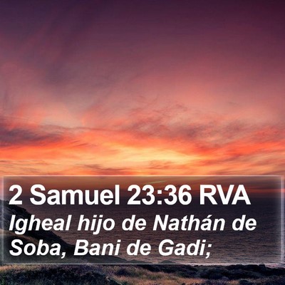 2 Samuel 23:36 RVA Bible Verse Image