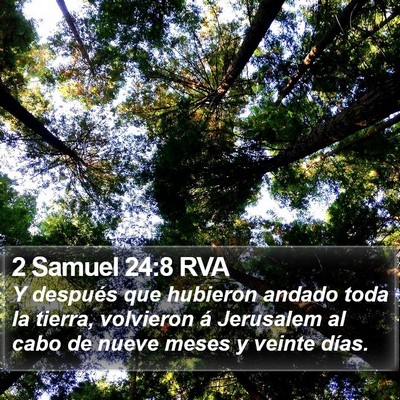 2 Samuel 24:8 RVA Bible Verse Image